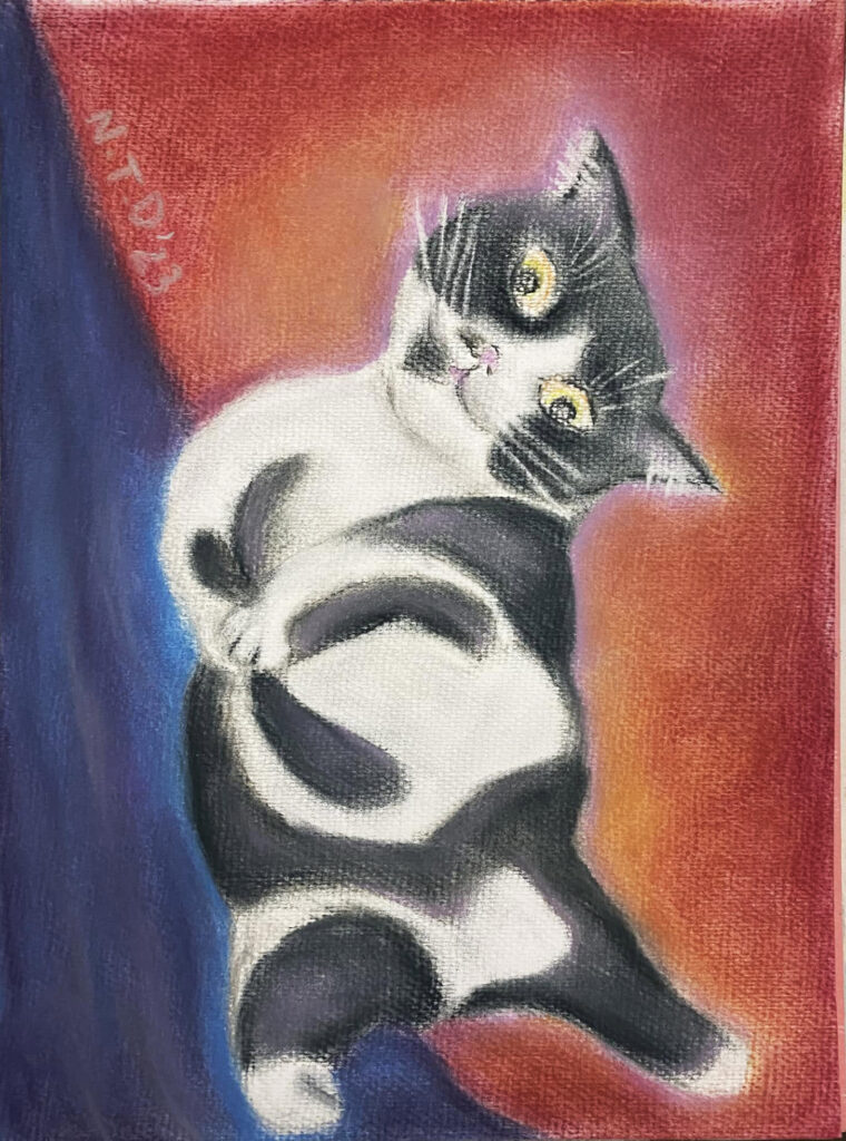 Lovely cat